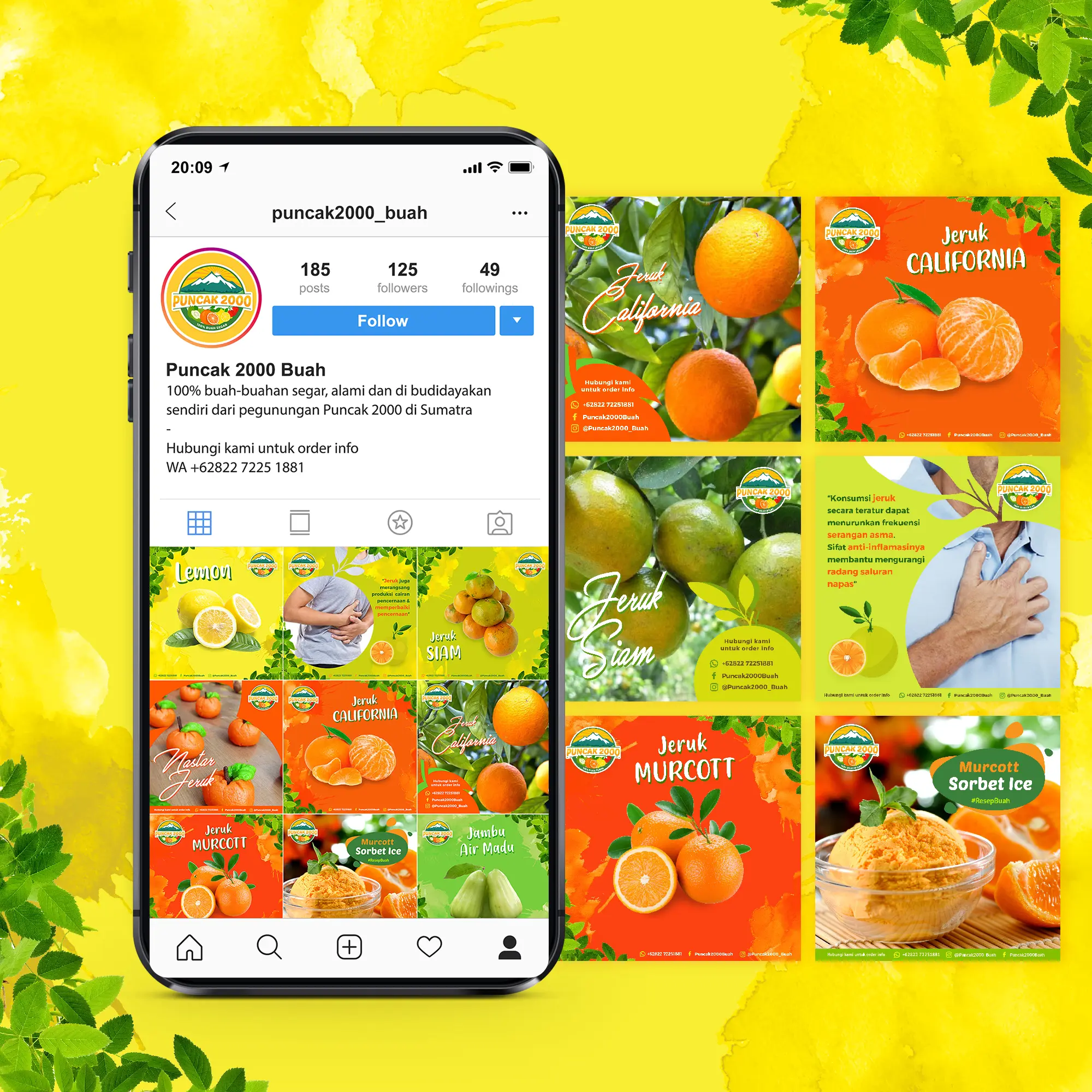 Apc 024 dbs puncak2000buah preview