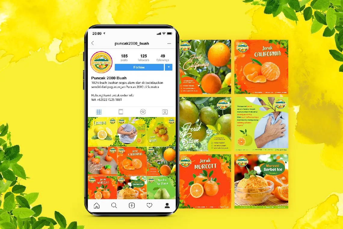 Apc 024 01 dbs puncak2000buah main