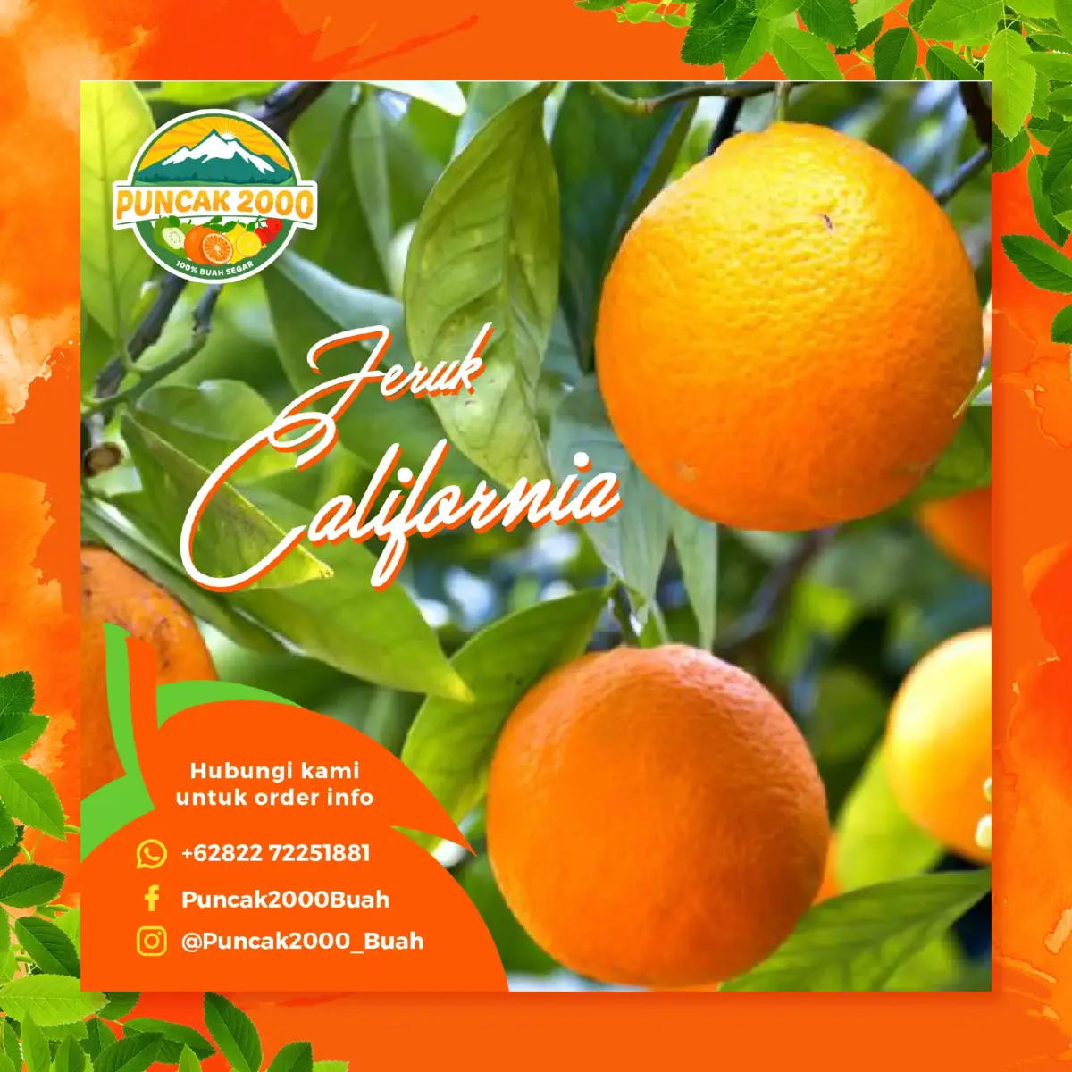 Apc 024 02 dbs puncak2000buah content 02