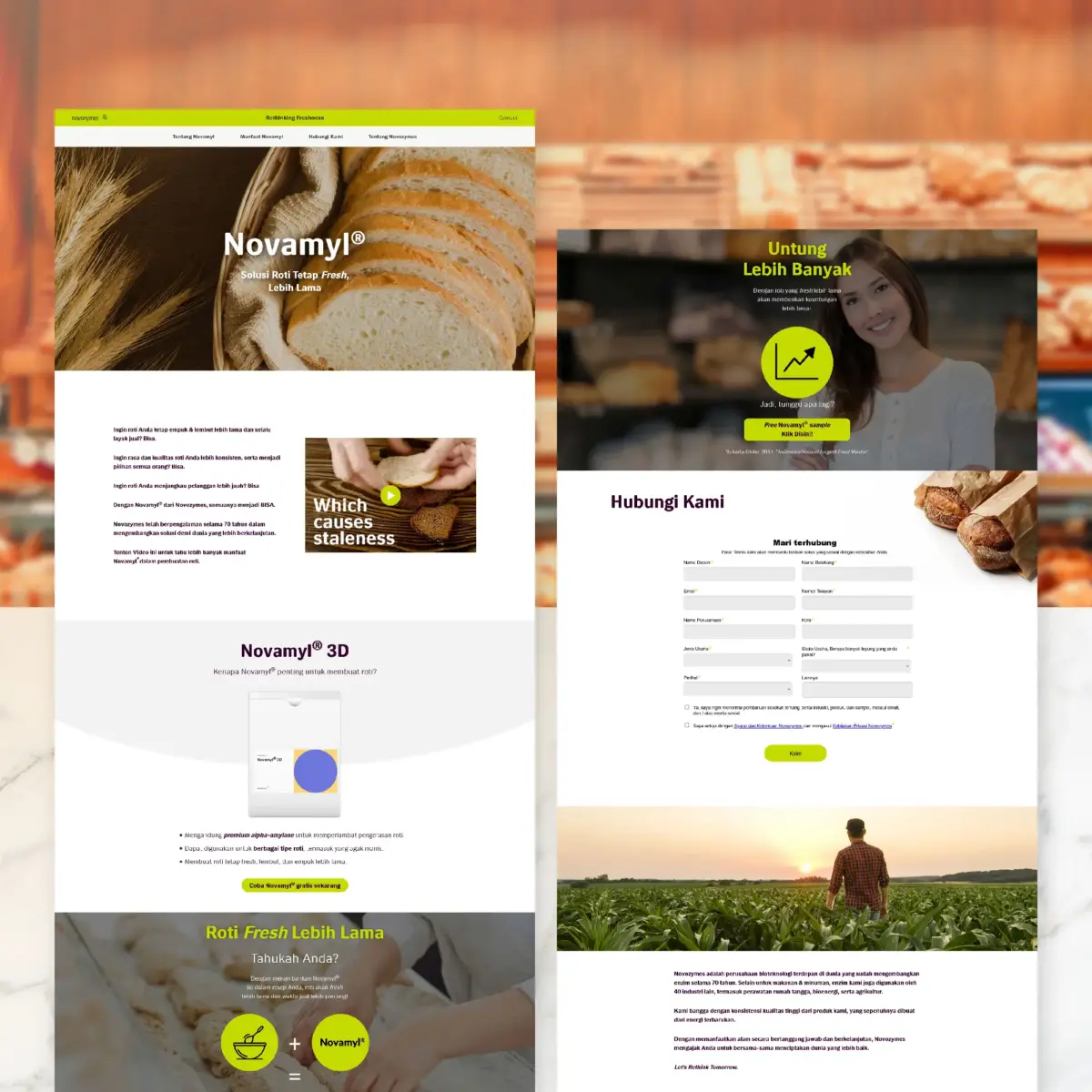 Apc 033 02 02 wdd novozymes content